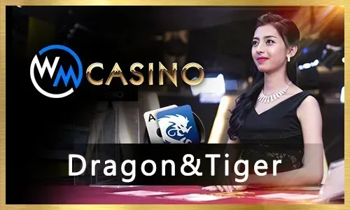 JiliPark Poker Card Games
